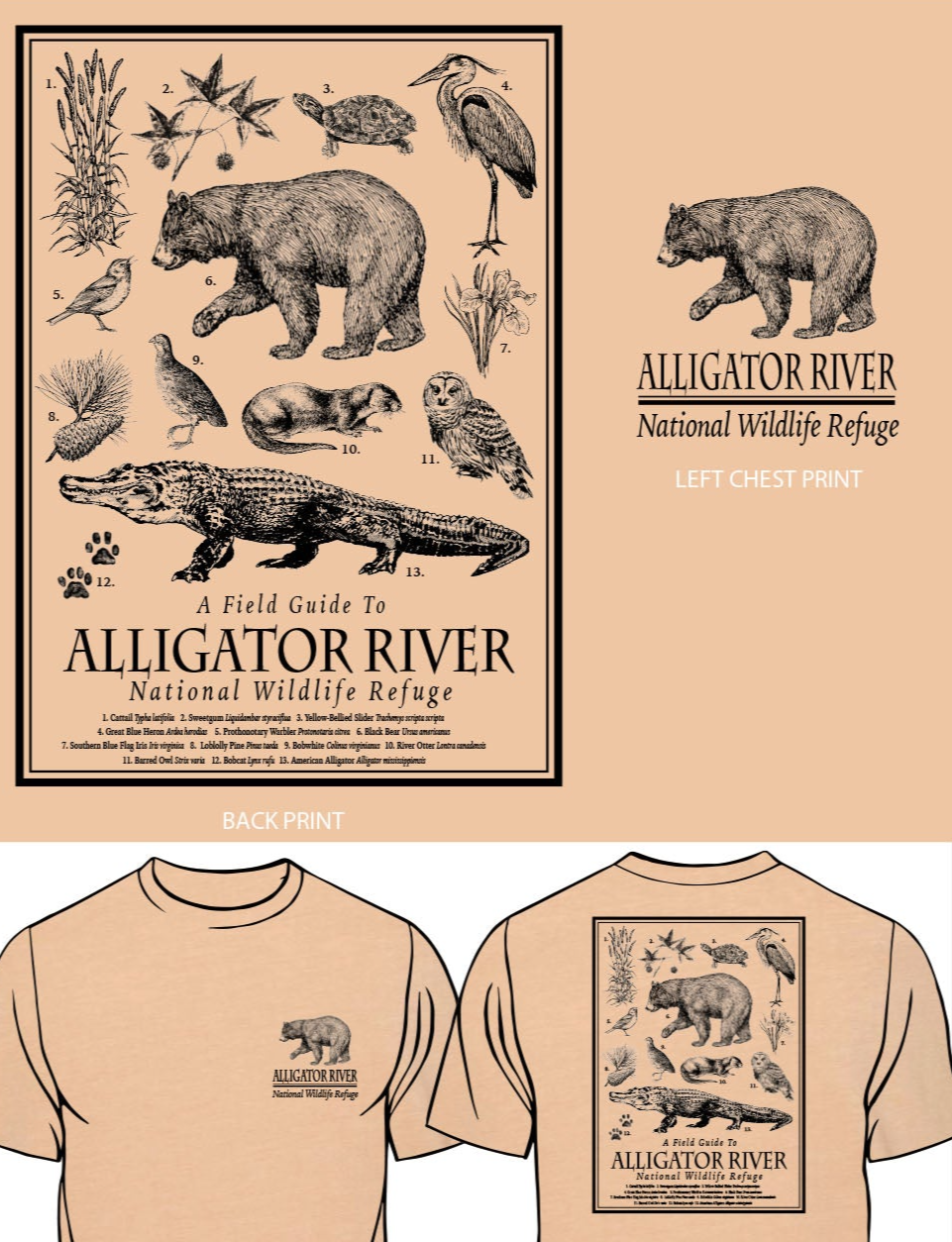 Alligator River Field Guide