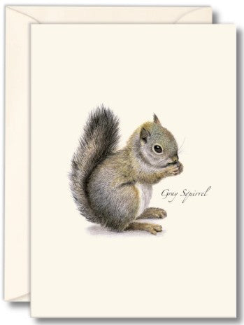 Gray Squirrel Note Cards