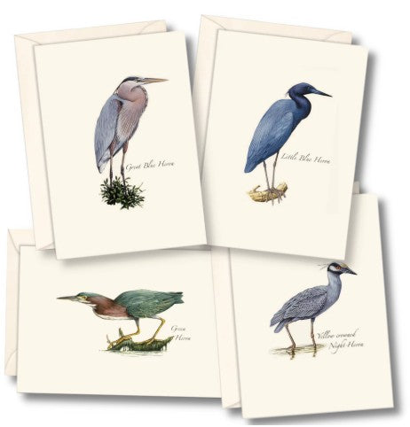 Heron Assortment Note Card