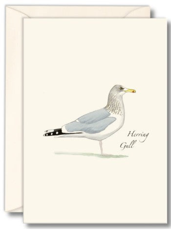 Herring Gull Note Cards