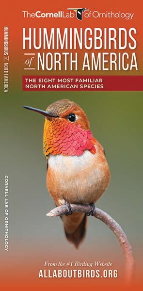 Hummingbirds of North America Pocket Guide
