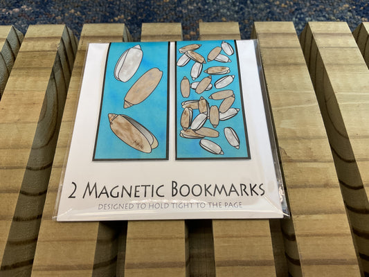 Coquina Shells Two Magnetic Bookmarks