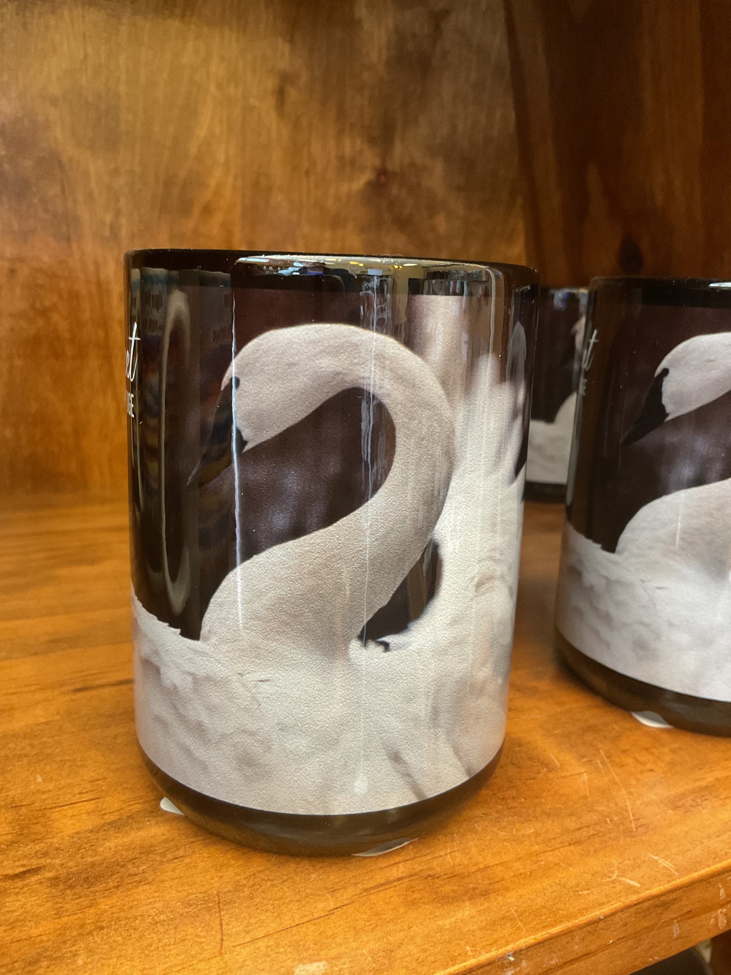 Mattamuskeet Tundra Swan Mug