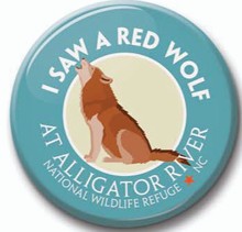See Saw Badge - I Saw A Red Wolf