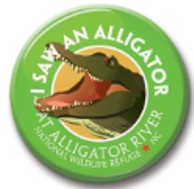 See Saw Badge I Saw An Alligator