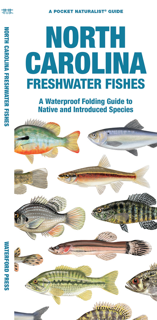 North Carolina Freshwater Fishes Pocket Guide