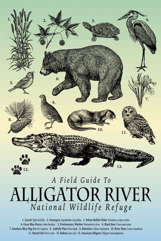 Alligator River Field Guide Tea Towel