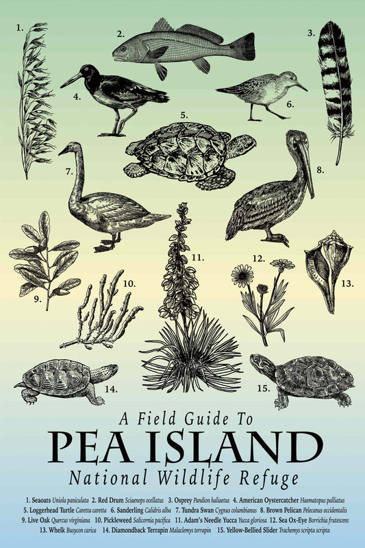 Pea Island Field Guide Tea Towel