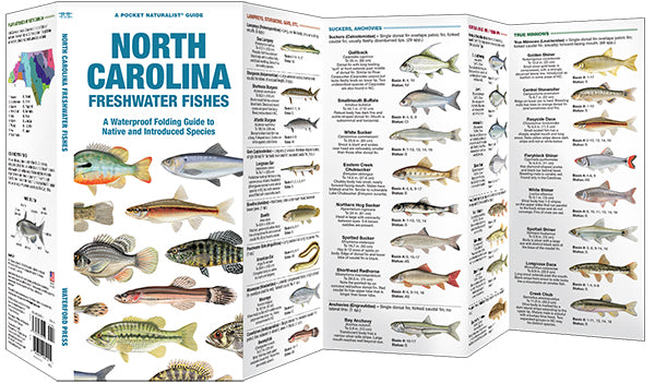 North Carolina Freshwater Fishes Pocket Guide