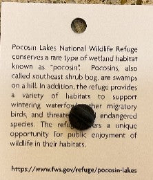 Pocosin Lakes NWR Collector's Pin