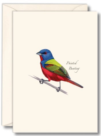 Painted Bunting Note Card