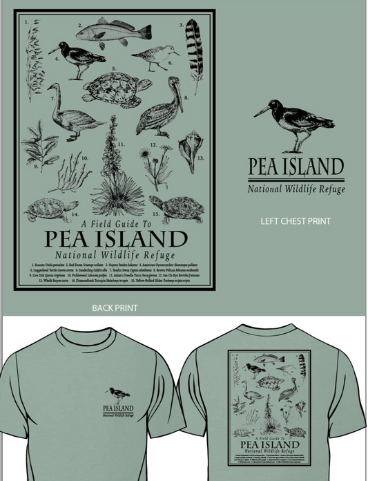 Pea Island Field Guide