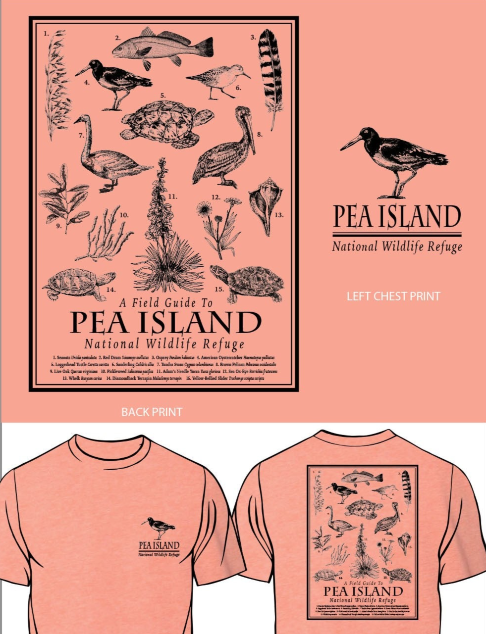 Pea Island Field Guide