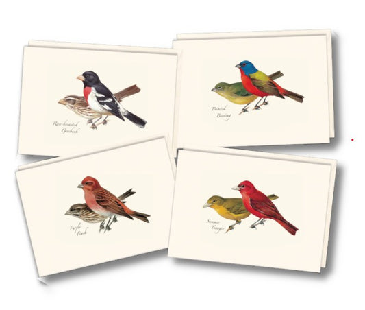 Peterson Bird Assortment II Note Cards