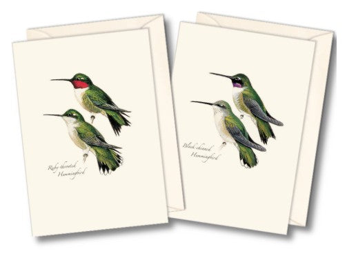 Peterson's Hummingbird Assortment Note Cards
