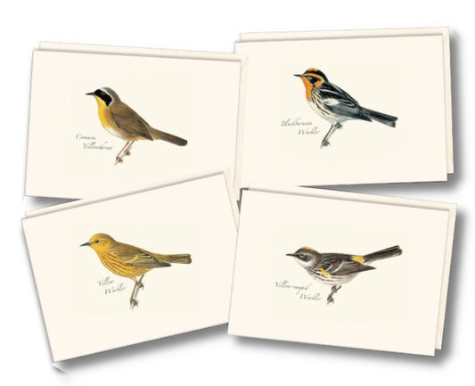 Peterson Warbler Assortment Note Cards