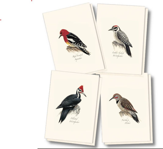 Peterson Woodpecker Assortment Note Cards