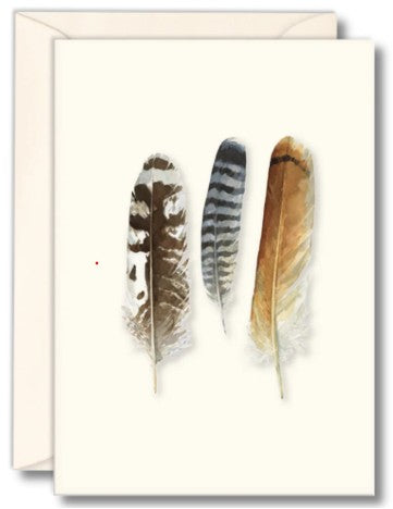 Raptor Feathers Note Cards