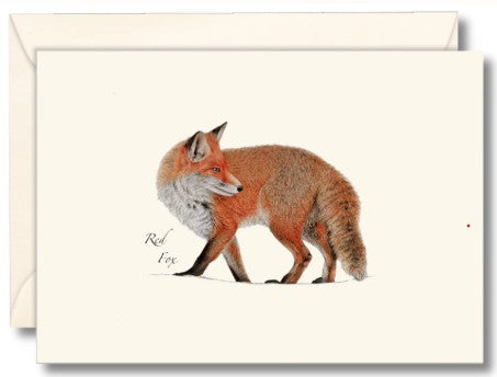 Red Fox Note Cards