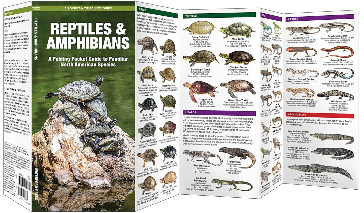Reptiles & Amphibians Pocket Guide