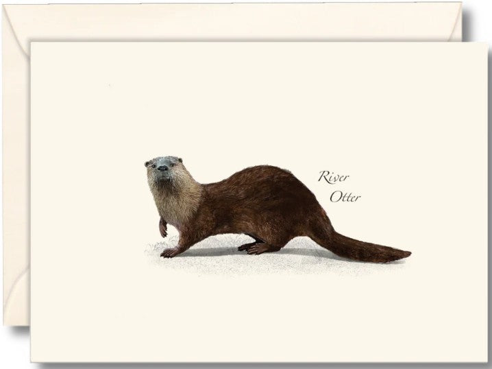 River Otter Note Cards