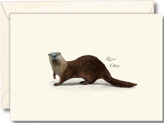 River Otter Note Cards