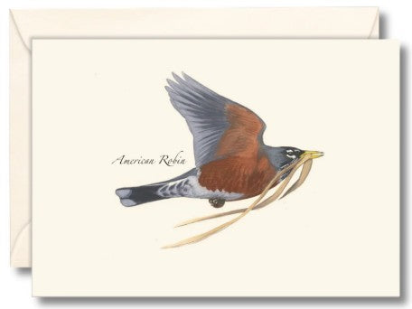 Robin in Flight Note cards