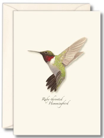 Ruby-throated Hummingbird Note Cards