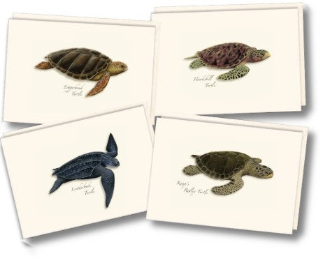 Sea Turtle Assortment Note Card