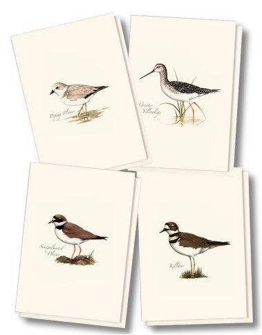 Shorebird Assortment Note Card
