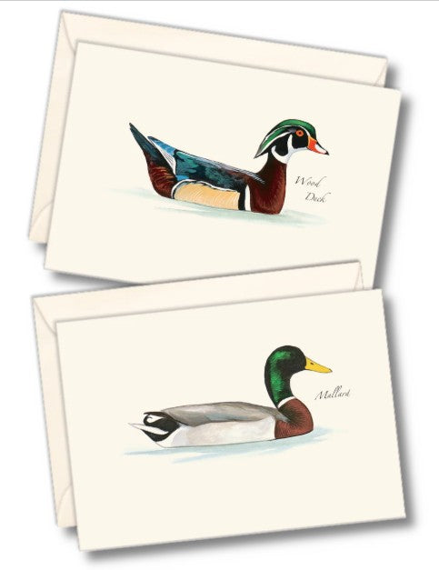 Sibley Wood Duc Note Cards