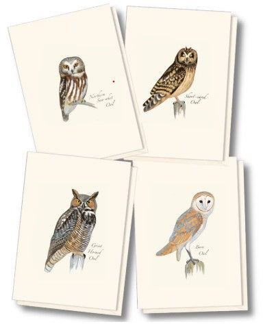 Sibley Owl Assortment Note Cards
