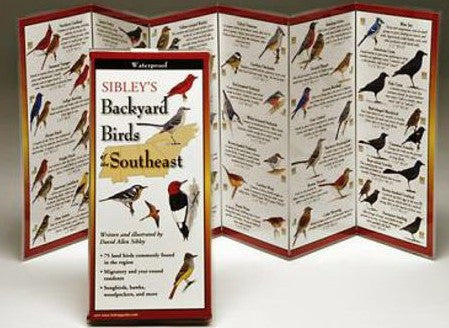 Sibley's Backyard Birds of the Southeast