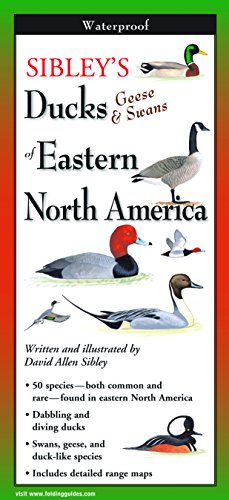 Sibley's Duck Geese and Swans Pocket Guide