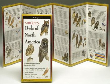 Sibley's Owl's of North America Folding Guide