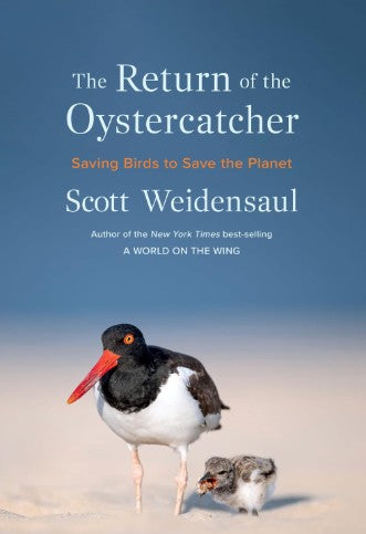 The Return of the Oystercatcher by Scott Weidensaul