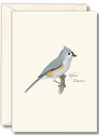 Tufted Titmouse Note Cards