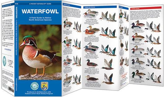 Waterfowl Pocket Guide