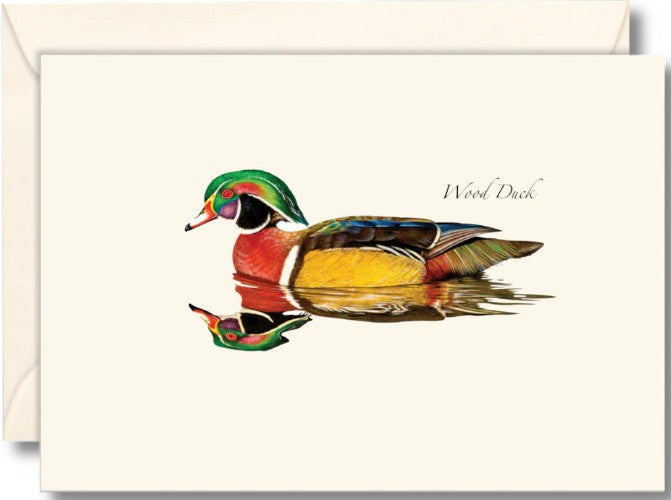 Wood Duck Note Cards