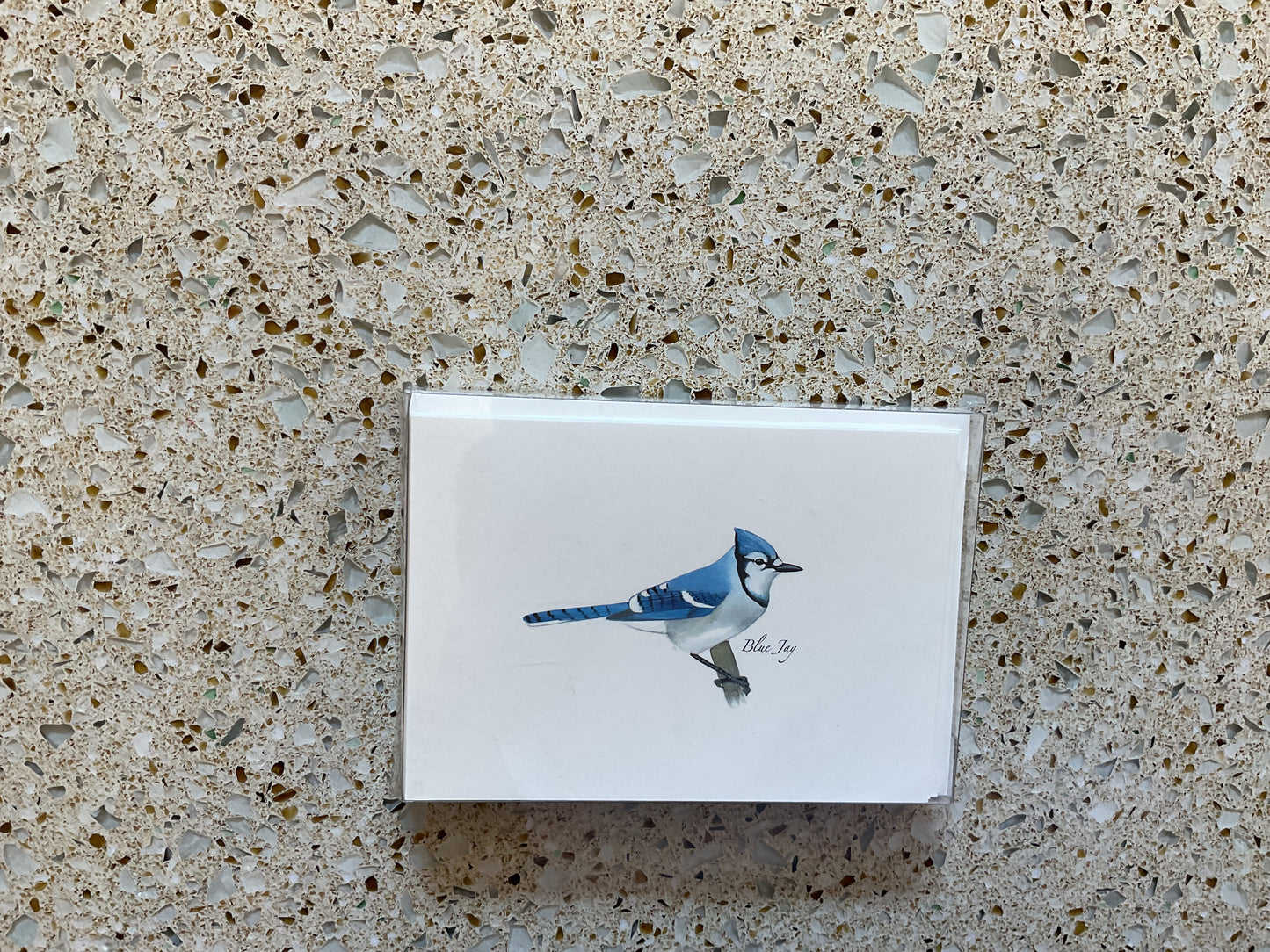 Blue Jay Note Card