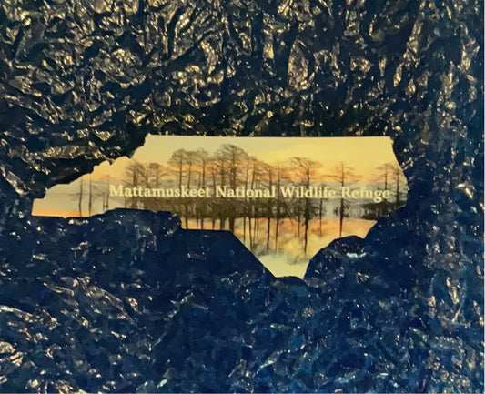 Mattamuskeet Sunrise Magnet