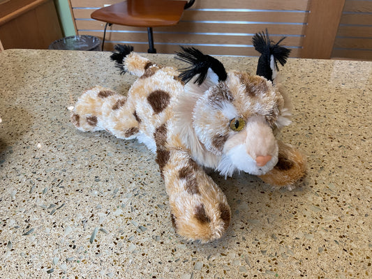 Bobby the Bobcat
