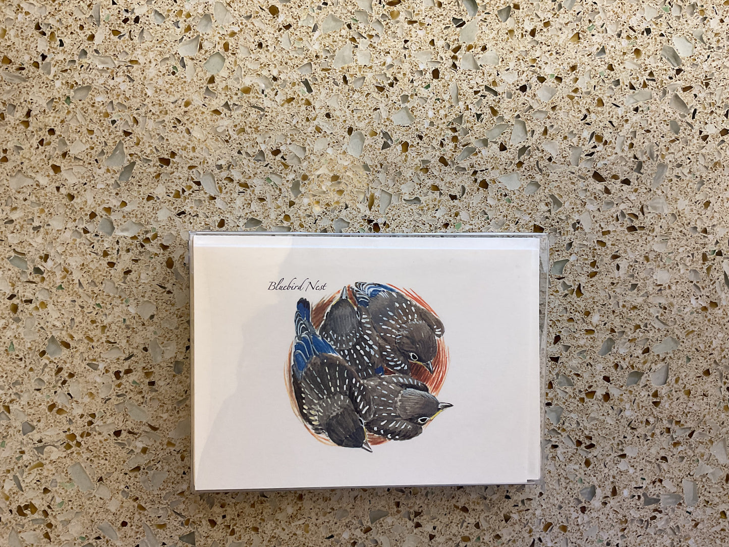 Blue Bird Nest Note Cards