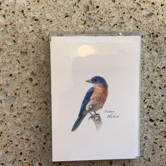 Bluebird II note cards