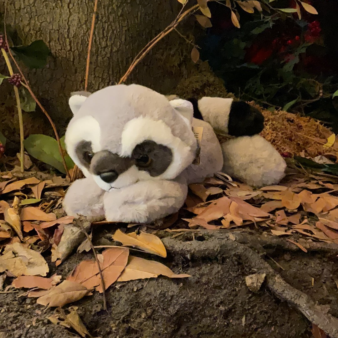 Roy Raccoon Stuffed Animal