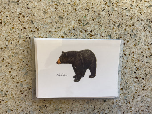 Black bear note cards