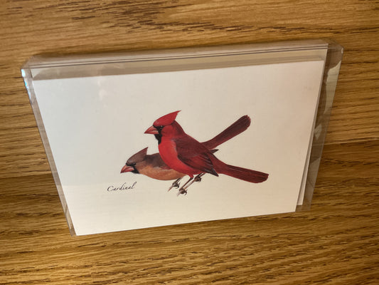 Peterson Bird Assortment note cards