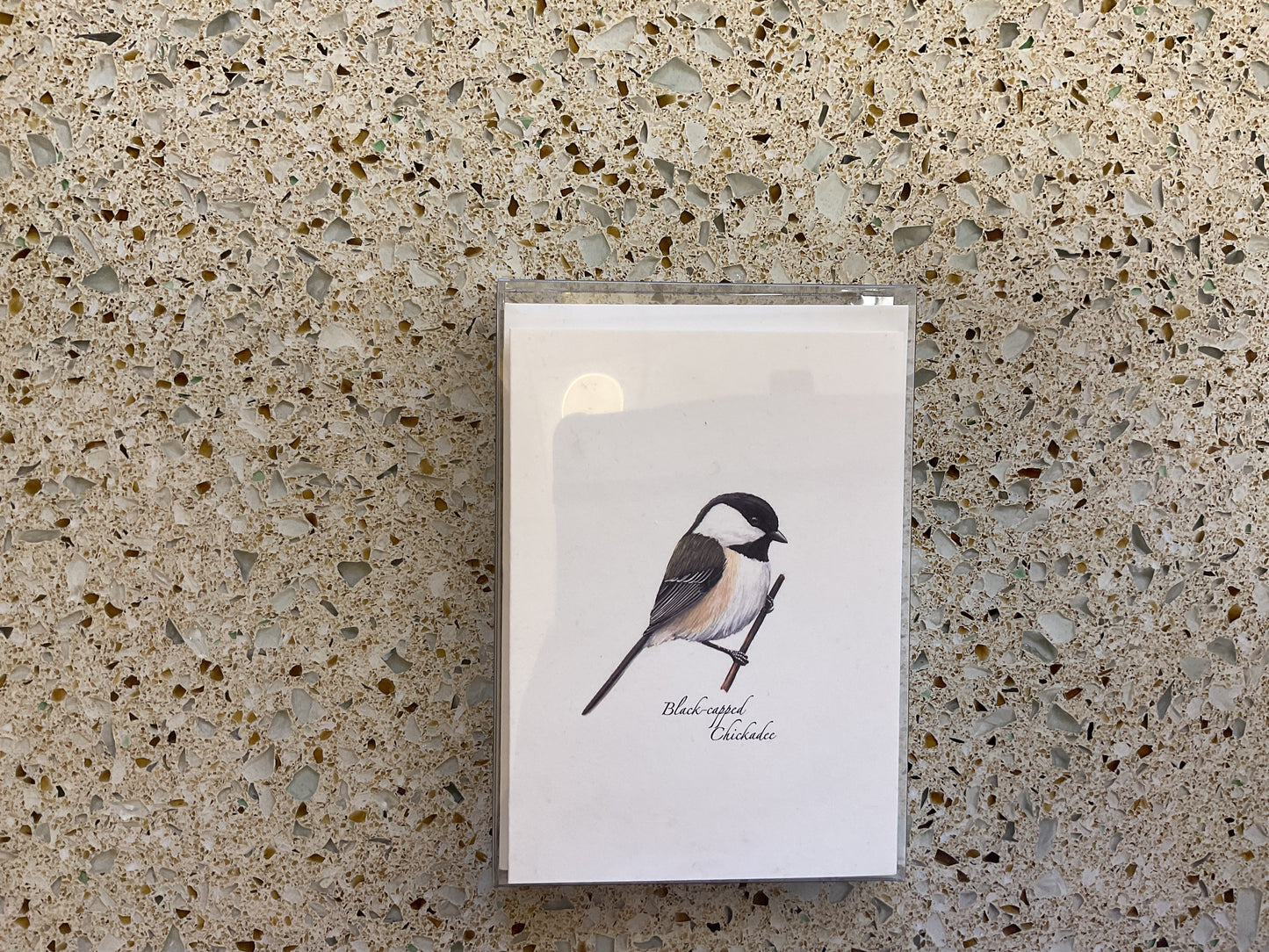 Black-Capped Chickadee Note Card