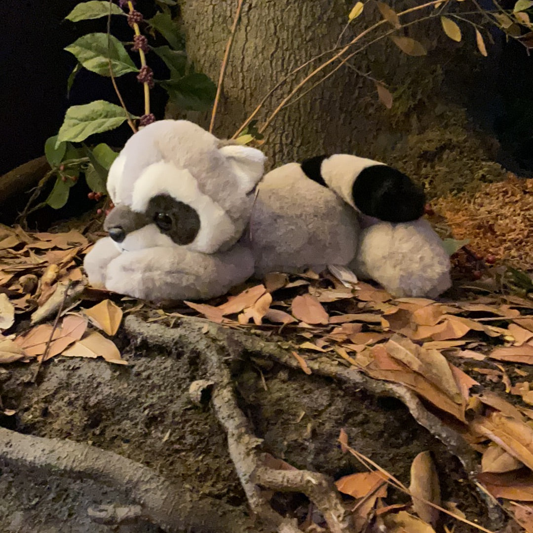 Roy Raccoon Stuffed Animal