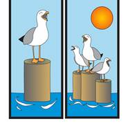 Bookmark Sea Gull